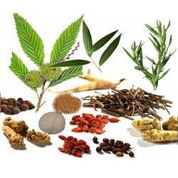 Herbal Extracts